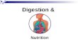 Digestion & Nutrition. 15.1 Intro to digestion Objective Be able to describe the general functions of the digestive system. Name the major organs of the