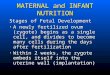 MATERNAL and INFANT NUTRITION Stages of Fetal Development A newly fertilized ovum (zygote) begins as a single cell, and divides to become many cells during