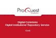 Digital Commons Digital Institutional Repository Service CLIC