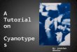 A Tutorial on Cyanotypes By: Jonathan Wheeler. Some facts about Cyanotypes Cyanotype is an alternative form of photography that was discovered by John