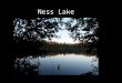 Ness Lake. Lets gather around the campfire and sing our campfire song with Mike, Taryn, Thomson, Nick, that one really cool kid, Joel & Felix