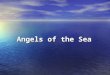 Angels of the Sea Who are the dolphins? They are very special messengers from the spirit world