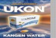 UKON is a supplement  Turmeric is an herb  Curcumin is the main constituent of Turmeric