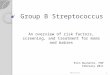 Group B Streptococcus An overview of risk factors, screening, and treatment for moms and babies Erin Burnette, FNP February 2011 1EBurnette