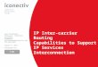 1 IP Inter-carrier Routing Capabilities to Support IP Services Interconnection Gary Richenaker Principal Solutions Architect iconectiv grichenaker@iconectiv.com