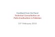 Feedback from the Panel Technical Consultation on Polio Eradication in Pakistan 15 th February 2015