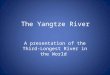 The Yangtze River A presentation of the Third-Longest River in the World