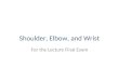 Shoulder, Elbow, and Wrist For the Lecture Final Exam