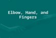 Elbow, Hand, and Fingers. AnatomyAnatomy MotionsMotions InjuriesInjuries EvaluationEvaluation RehabilitationRehabilitation