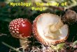 Mycology: the study of Fungi Basidia “club-like”