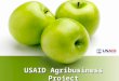 USAID Agribusiness Project. 5 year project from Sept 28, 2007 – Sept 27, 2012 Implementing Partners: DAI, BAH, IRD, Michigan State University Total Value