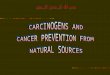What is a carcinogen?  A carcinogen is a substance or agent known to cause cancer or produces an increase in incidence of cancer in animals or humans