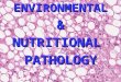 ENVIRONMENTAL&NUTRITIONALPATHOLOGY. Environmental and Nutritional Pathology Environment and Disease Environment and Disease Common Exposures Common Exposures