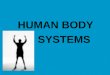 HUMAN BODY SYSTEMS. Objectives Understand the role for each of the body systems Identify the organs/parts of each body system Understand how the body