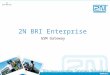 2N BRI Enterprise GSM Gateway. 2N BRI Enterprise GSM Gateway It is a dial thru gateway designed for small and medium companies to:  Enhance their communication