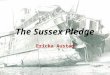 The Sussex Pledge Ericka Austad. During the beginning of World War I, Germany had adopted a policy of unrestricted submarine warfare, meaning they could