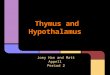 Thymus and Hypothalamus Joey Han and Matt Appell Period 2