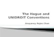 Anayansy Rojas Chan.  The Hague Conference on Private International Law ◦ Convention on the law applicable to certain rights with respect to securities