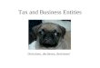 Tax and Business Entities Decisions, decisions, decisions!