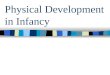 Physical Development in Infancy. Physical Growth and Development In Infancy Cephalocaudal & Proximodistal Patterns Cephalocaudal sequence in which greatest