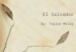 El Salvador By: Taylor McCoy. El Salvador This where El Salvador is located