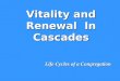 Vitality and Renewal In Cascades Life Cycles of a Congregation