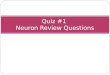Quiz #1 Neuron Review Questions. Label the neuron! #1 #2 #3 #4 Neuron Review #1 Dendrite Axon Cell Body Myelin Sheath