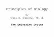 Principles of Biology By Frank H. Osborne, Ph. D. The Endocrine System