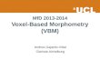 MfD 2013-2014 Voxel-Based Morphometry (VBM) Andrea Gajardo-Vidal Clarisse Aichelburg
