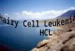 Hairy cell leukemia is a chronic Lymphoprolifrative disorder. in 1952 was recognized. Leukemic reticuloendotheliosis. Lymphoid myelofibrosis. Reticulum