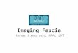 Imaging Fascia Renee Stenbjorn, MPA, LMT. My goal: Utilize images to inform the student of the complex structural system of fascia. Your goal?