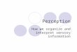 Perception How we organize and interpret sensory information
