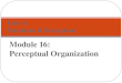 Module 16: Perceptual Organization Unit 4: Sensation & Perception
