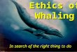 Ethics of Whaling In search of the right thing to do
