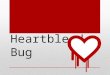 Heartbleed Bug. When all the net security people are freaking out, itâ€™s probably an okay time to worry