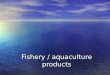 Fishery / aquaculture products. „Definition” – (EC) Regulation No 853/2004 All seawater and freshwater animals All seawater and freshwater animals –(except