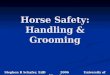Horse Safety: Handling & Grooming Stephen R Schafer, EdD 2006 University of Wyoming