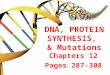 DNA, PROTEIN SYNTHESIS, & Mutations Chapters 12 Pages 287-308