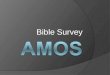 Bible Survey. Bible Survey - Amos Title: 1. Hebrew – sAmê[' 2. Greek – Amwj 3. Latin – Amos