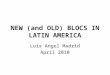 NEW (and OLD) BLOCS IN LATIN AMERICA Luis Angel Madrid April 2010