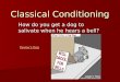 Classical Conditioning How do you get a dog to salivate when he hears a bell? Pavlov's Dog