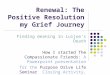 Renewal: The Positive Resolution my Grief Journey Finding meaning in Luijoe’s Death How I started The Compassionate Friends: A Powerpoint presentation