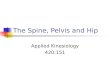 The Spine, Pelvis and Hip Applied Kinesiology 420:151