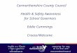 Carmarthenshire County Council Health & Safety Awareness for School Governors Eddie Cummings Croeso/Welcome