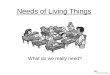 Needs of Living Things What do we really need?. Needs of Living Things Can you remember the things that we really need to survive?