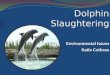 Dolphin Slaughtering Environmental Issues Katie Cothran