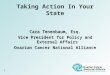 Taking Action In Your State 1 Cara Tenenbaum, Esq. Vice President for Policy and External Affairs Ovarian Cancer National Alliance Cara Tenenbaum, Esq