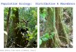 Population Ecology: Distribution & Abundance K. Harms photos from north of Manaus, Brazil