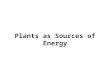 Plants as Sources of Energy. Through the process of photosynthesis, plants have the capacity to capture and utilize energy, derived from the Sun, along