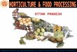 Department of Horticulture & Food Processing, Uttar Pradesh UTTAR PRADESH